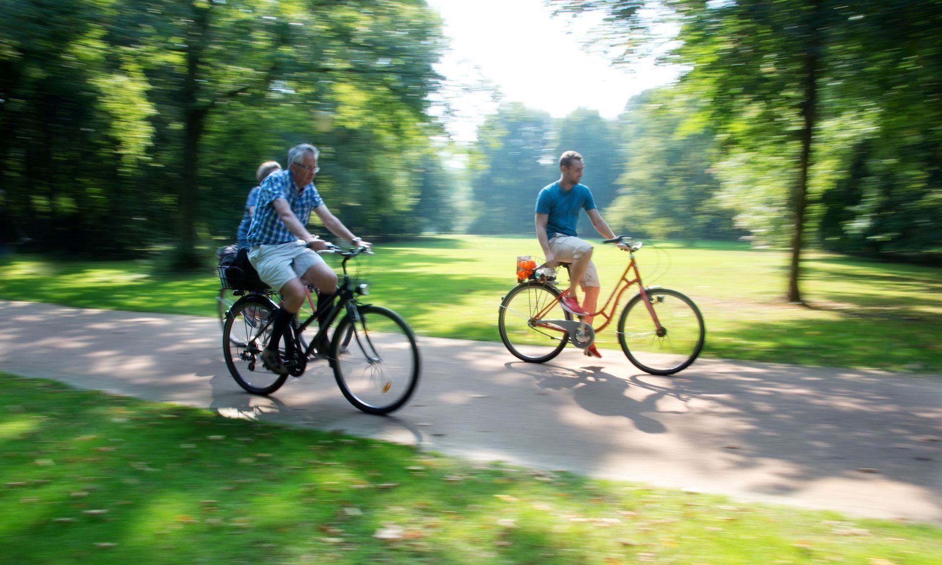 Martin plus Zwei im Park 1
