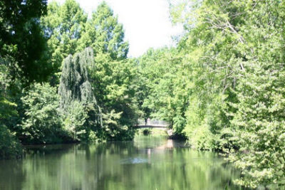 Neuer See dschungelindergroßastadt 1 e1574683881717