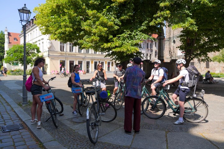 Group of cyclists gathered under a tree in a sunny park.