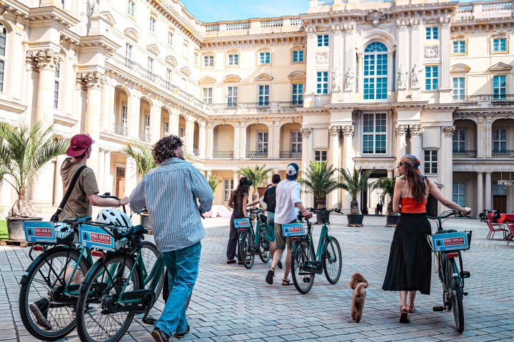 Group with bicycles in a plaza, near a historic building with palm trees, and a small dog walking.