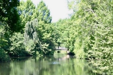 Lush green trees surround a peaceful lake with a small bridge in the background.